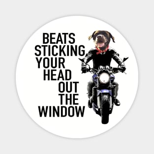 Dog On Motorcycle Magnet